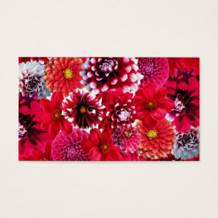 Audaz Magenta Rosa Dahlia Flores Collage Floral