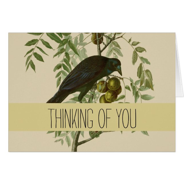 Audubon American Crow Black Bird (Anverso (Horizontal))