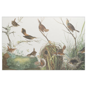 Audubon jerarquiza la tela del animal de la fauna