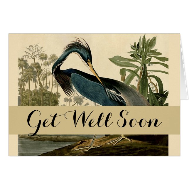 Audubon Louisiana Heron Birds America Art (Anverso (Horizontal))