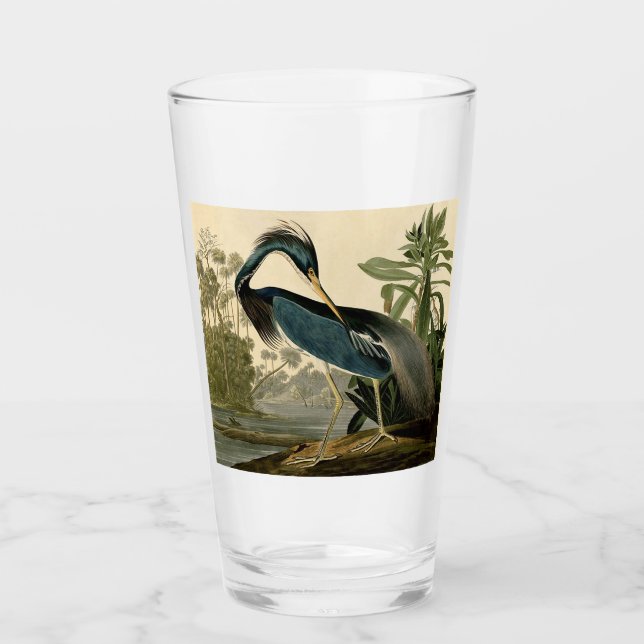 Audubon Louisiana Heron Birds America Art (Anverso)