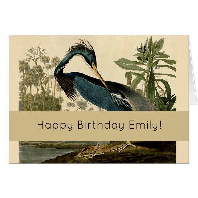Audubon Louisiana Heron Birds America Art (Anverso (Horizontal))