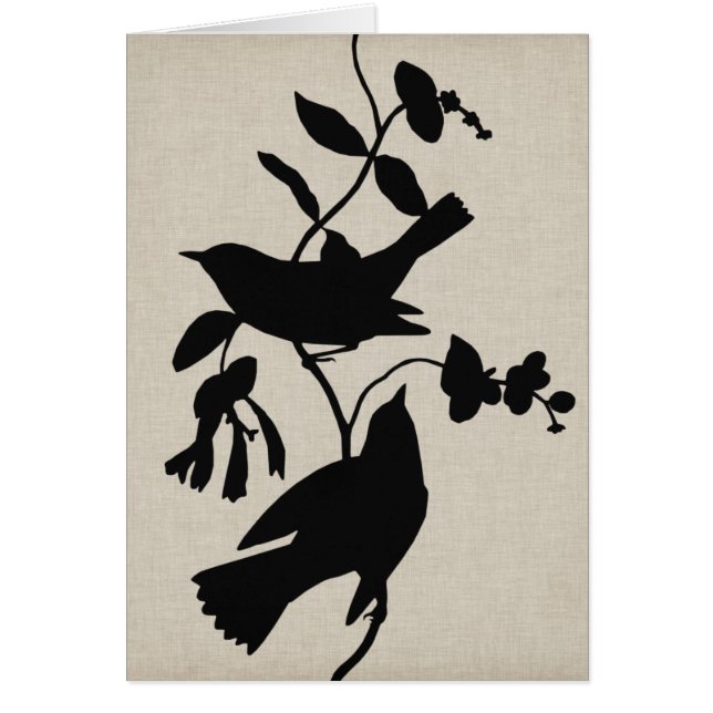 Audubon Silhouette IV (Frente)