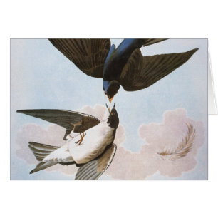 Audubon: Trago de árbol