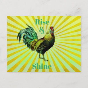 Auge y resplandece postal