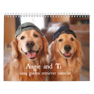 Augie y calendario 2014 del golden retriever del