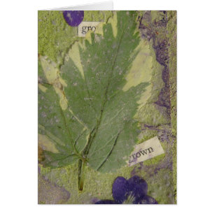 Aumentar los medios mixtos