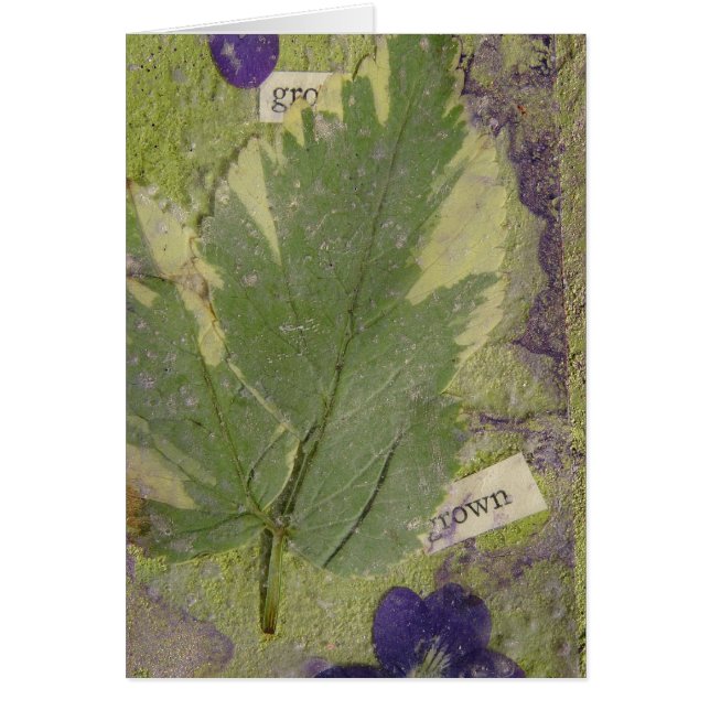 Aumentar los medios mixtos (Frente)