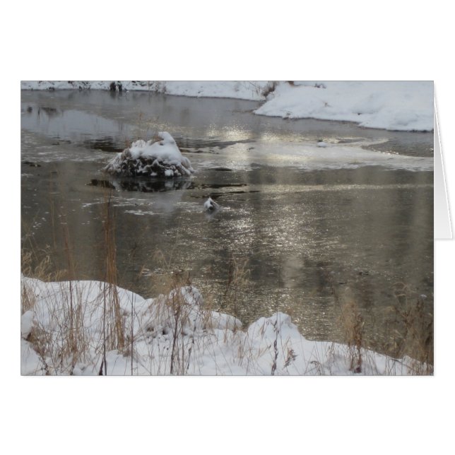 Aumento ligero (Anverso (Horizontal))