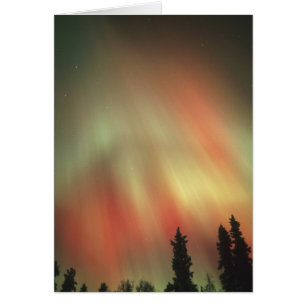 Aurora Boreal, Luces del Norte, Fairbanks