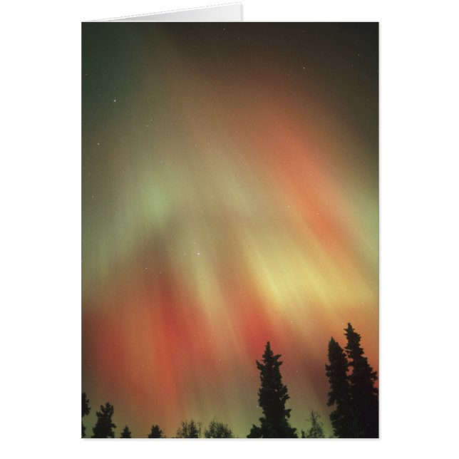 Aurora Boreal, Luces del Norte, Fairbanks (Frente)