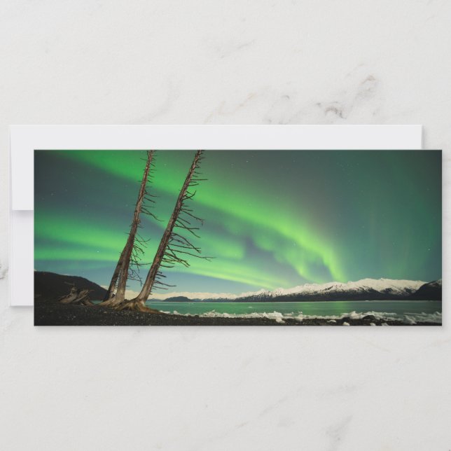 Aurora del árbol de inclinación (Anverso)