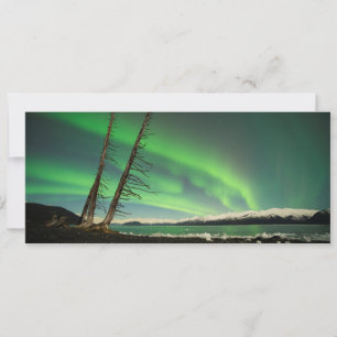 Aurora del árbol de inclinación