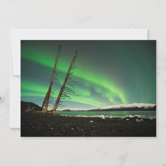 Aurora del árbol de inclinación (Anverso)