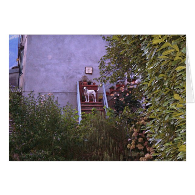 Aurora del chalet (Anverso (Horizontal))