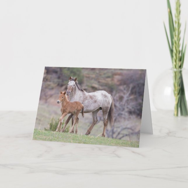 Aurora y Filly-Galloping para la tarjeta de saludo (Anverso)