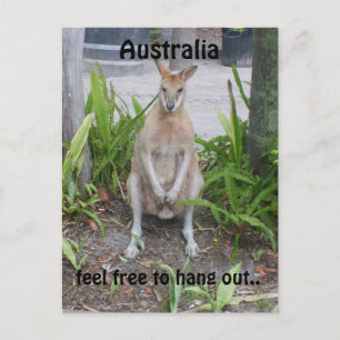 Aussie Boy, postal