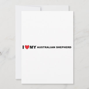 aussie shep love