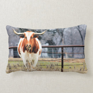 Austin la almohada del Lumbar del fonolocalizador