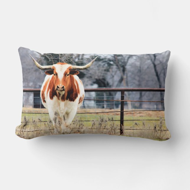 Austin la almohada del Lumbar del fonolocalizador (Anverso)