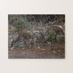 Australia Niños canguros rompecabezas Jigsaw