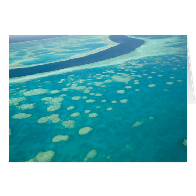 Australia, Queensland, Costa de Whitsunday, Gran 4 (Anverso (Horizontal))