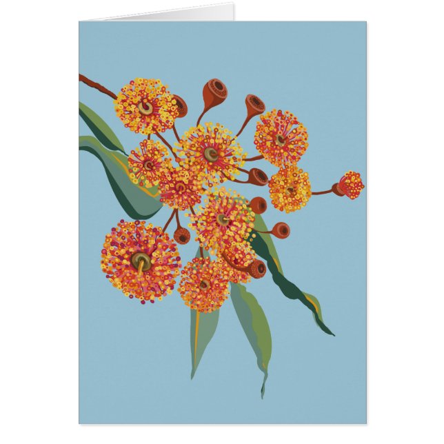 Australian gum tree blossoms (Frente)