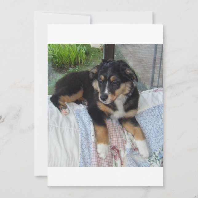 australiana (Anverso)