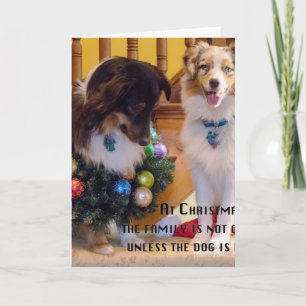 Australianos de las Felices Navidad