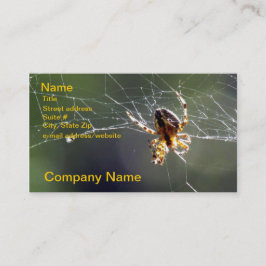 Autobús. Tarjeta - araña en el Web