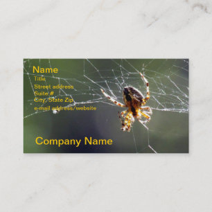 Autobús. Tarjeta - araña en el Web
