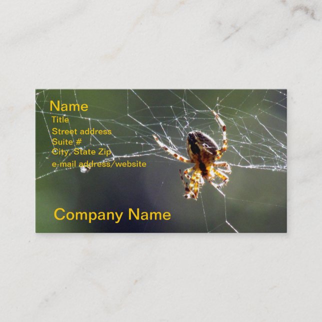 Autobús. Tarjeta - araña en el Web (Anverso)