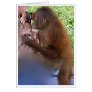 Autoconfianza y orgullo