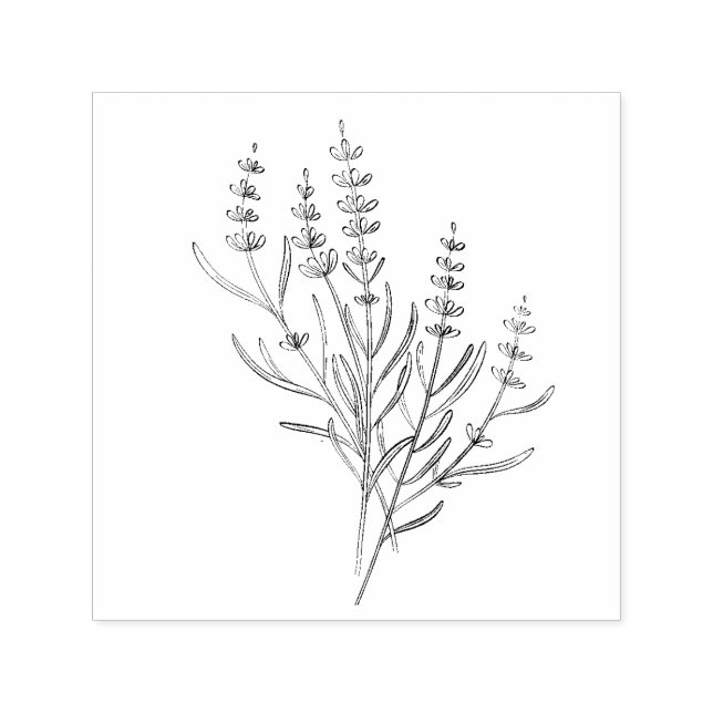 Automático Sello de ramitas de lavanda (Diseño)