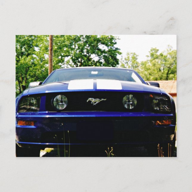 Automóvil muscular- Tarjeta postal azul Shelby (Anverso)