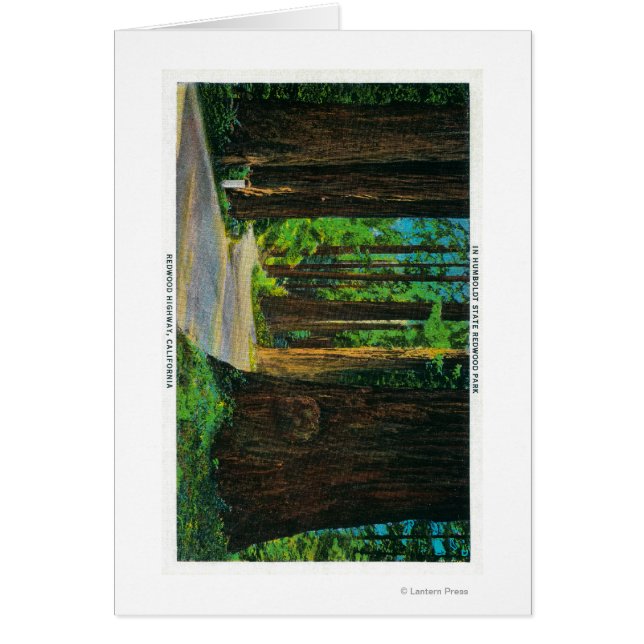 Autopista Redwood en el Parque Estatal de secuoya  (Frente)