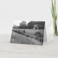 "Autos ferroviarios abandonados", mejor tarjeta #2
