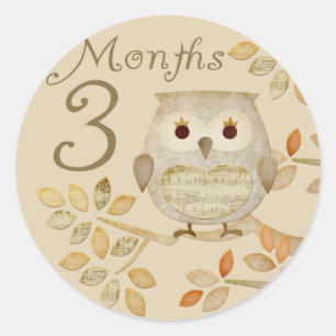 Autum Owl 3 meses Pegatina