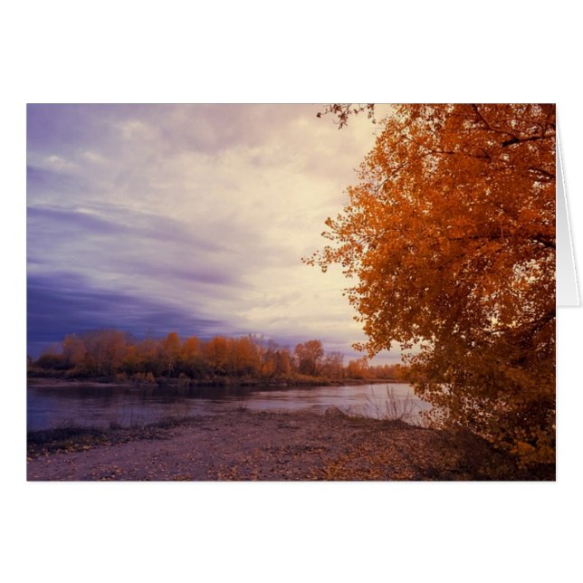 Autumn Along the River Note Card (Anverso (Horizontal))