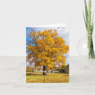 Autumn Amarillo Maple Pensando En Tu Tarjeta