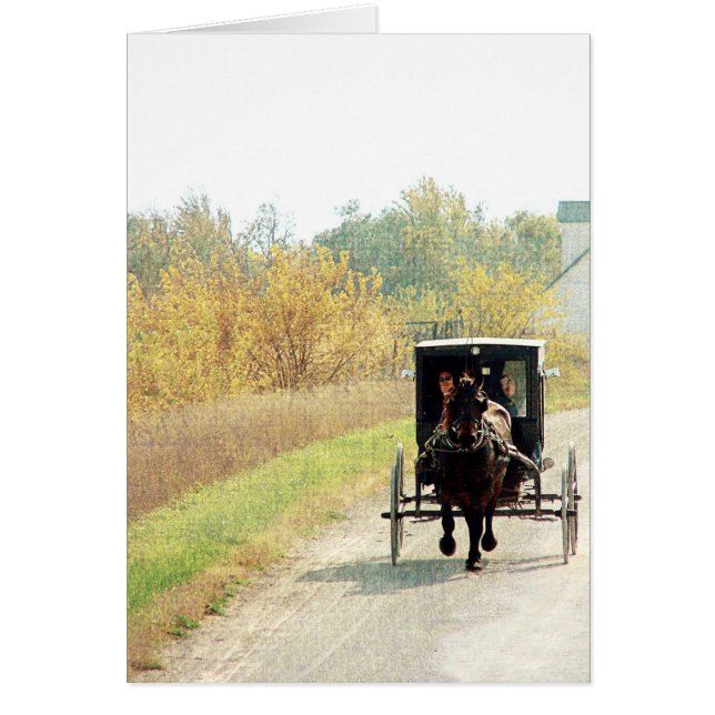 Autumn Amish Horse and Buggy (Frente)