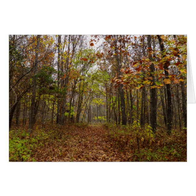 Autumn Bliss (Anverso (Horizontal))