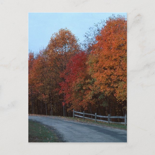 Autumn Drive: 2 postal (Anverso)