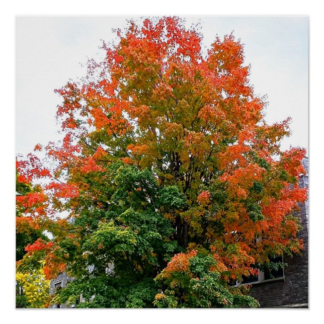 AUTUMN ES poster DE PINTURA DE DIOS (Anverso)