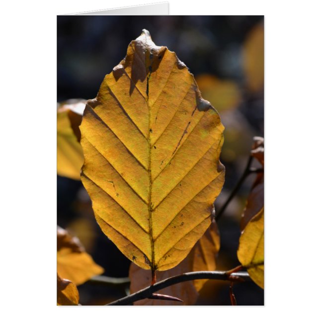 Autumn Leaf Card (Frente)