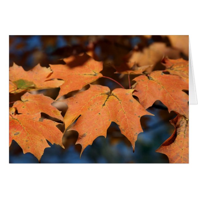 Autumn Leaves Card (Anverso (Horizontal))