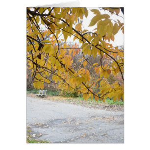 Autumn Leaves Riverside Park New York City NYC