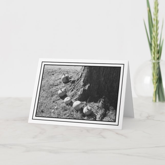 Autumn Pumpkins Blank Tarjeta de Saludo (Anverso)