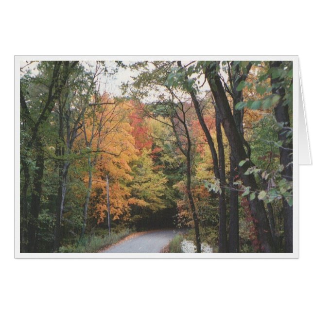 Autumn Road (Anverso (Horizontal))