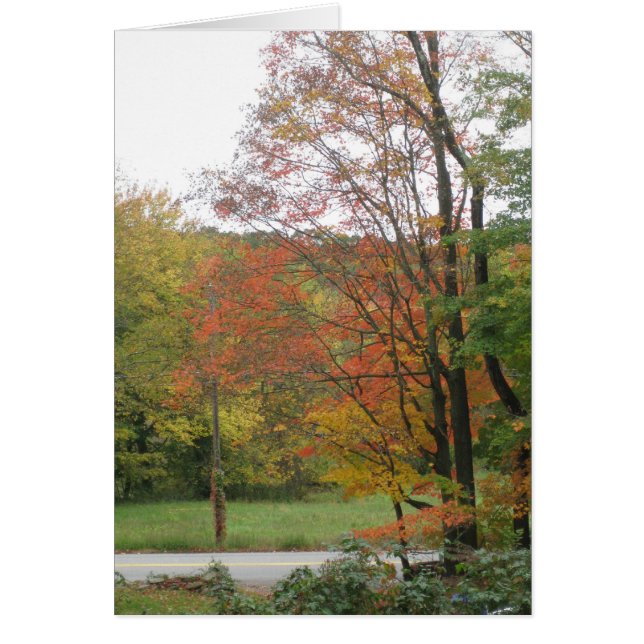 Autumn Road 2 (Frente)